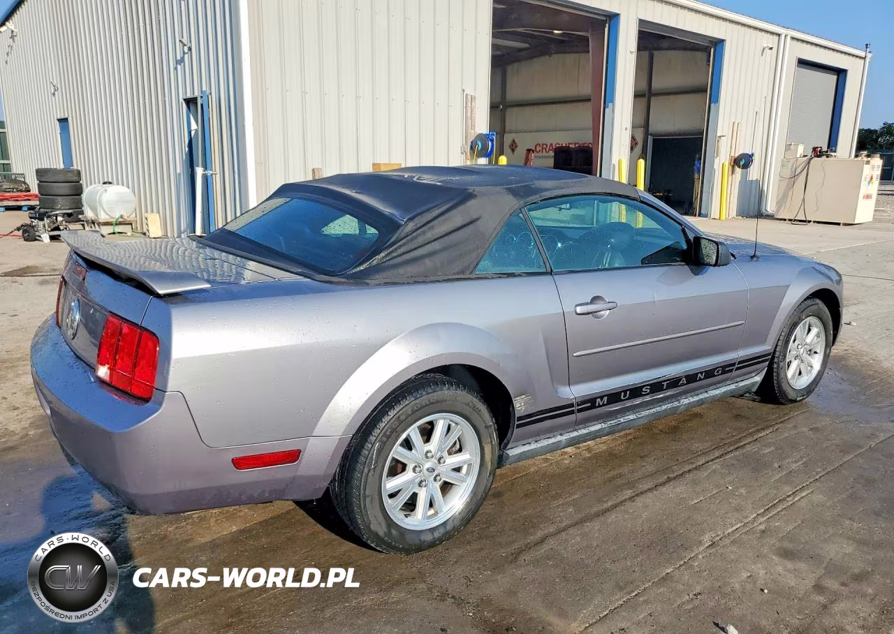2006 Ford Mustang VIN:1ZVFT84N565226131 - 3