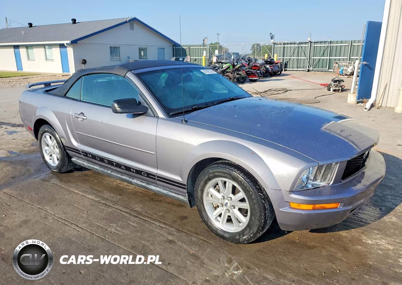 2006 Ford Mustang VIN:1ZVFT84N565226131 - 4