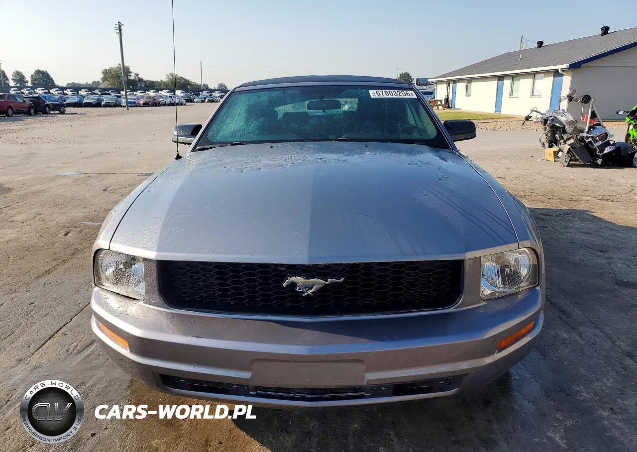2006 Ford Mustang VIN:1ZVFT84N565226131 - 5