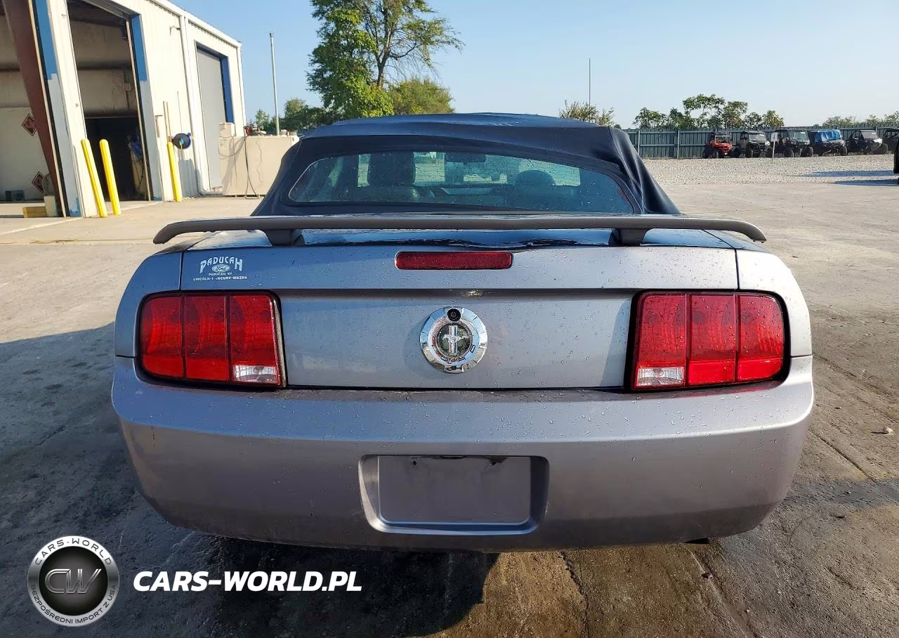 2006 Ford Mustang VIN:1ZVFT84N565226131 - 6