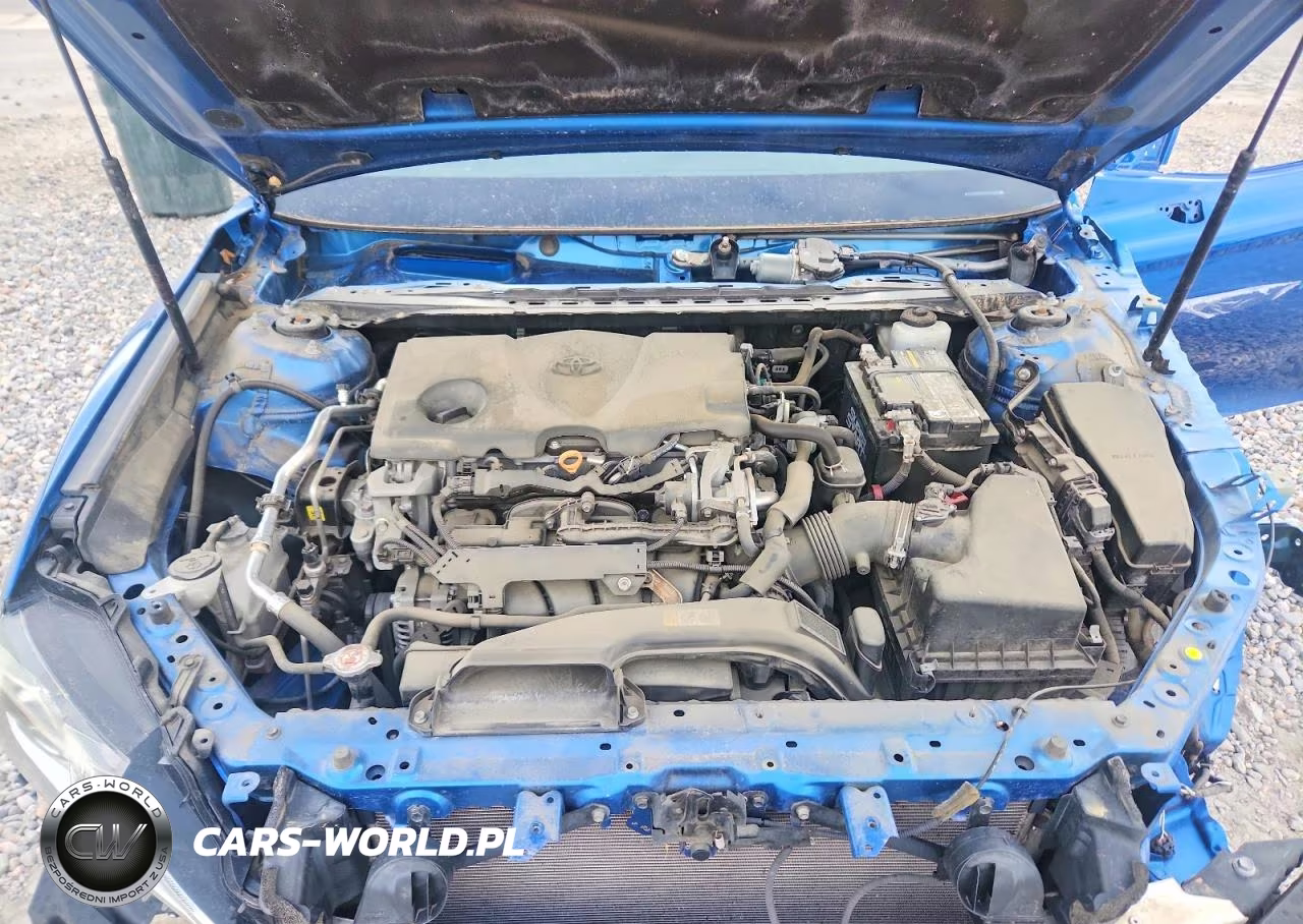 2019 Toyota Camry Se VIN:4T1B11HK2KU220006 - 11