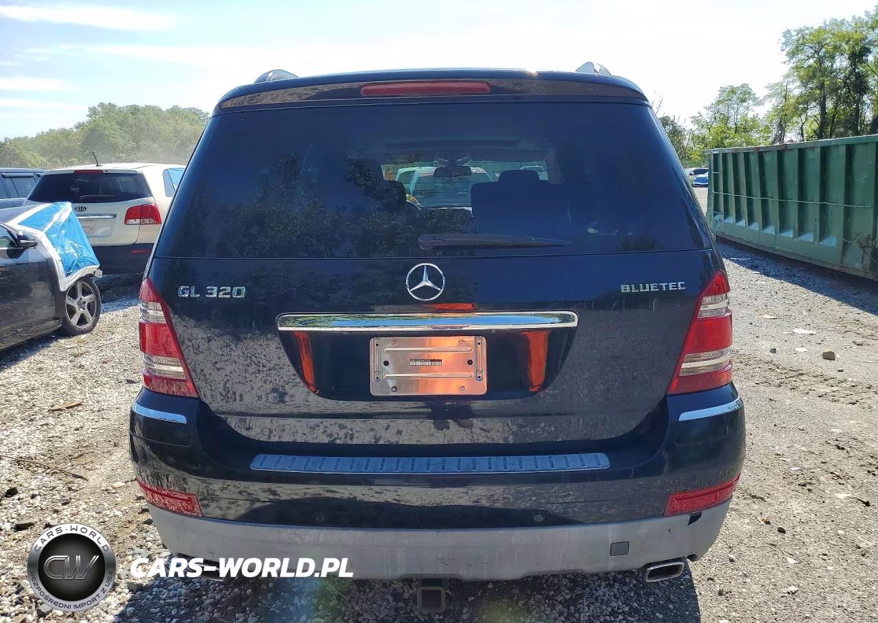 2009 Mercedes-Benz Gl VIN:4JGBF25EX9A497584 - 6