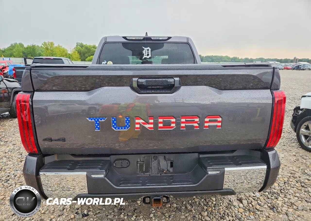 2022 Toyota Tundra Sr5 VIN:5TFLA5DBXNX020175 - 6
