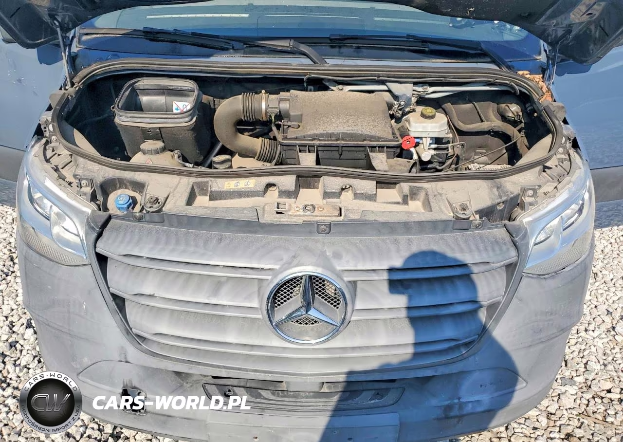 2019 Mercedes-Benz Sprinter 2500-3500 VIN:WD4PF1CD3KP122417 - 12