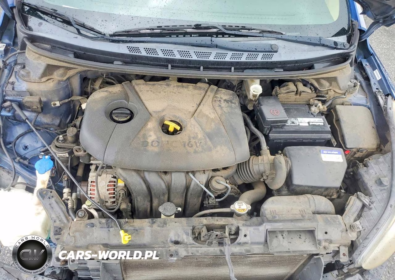 2013 Hyundai Elantra Gls VIN:KMHDH4AE6DU801621 - 11