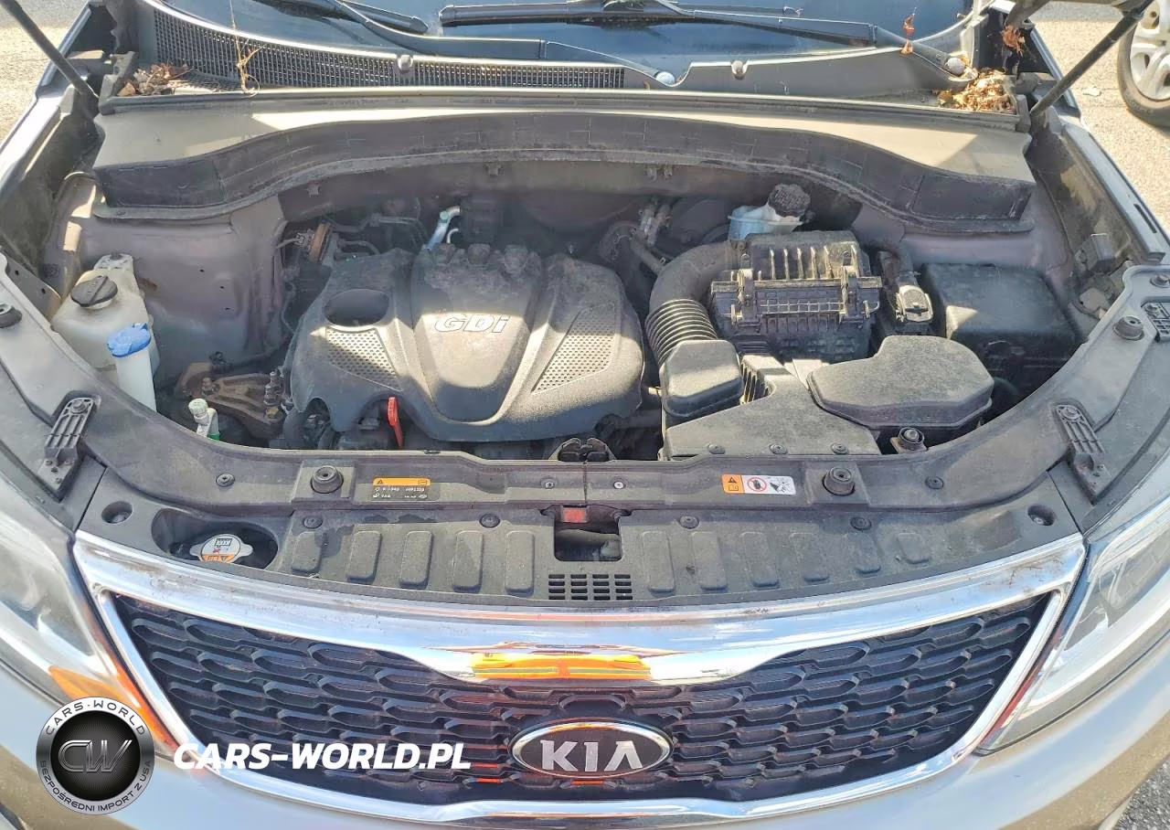 2014 Kia Sorento Lx VIN:5XYKTCA65EG439250 - 12