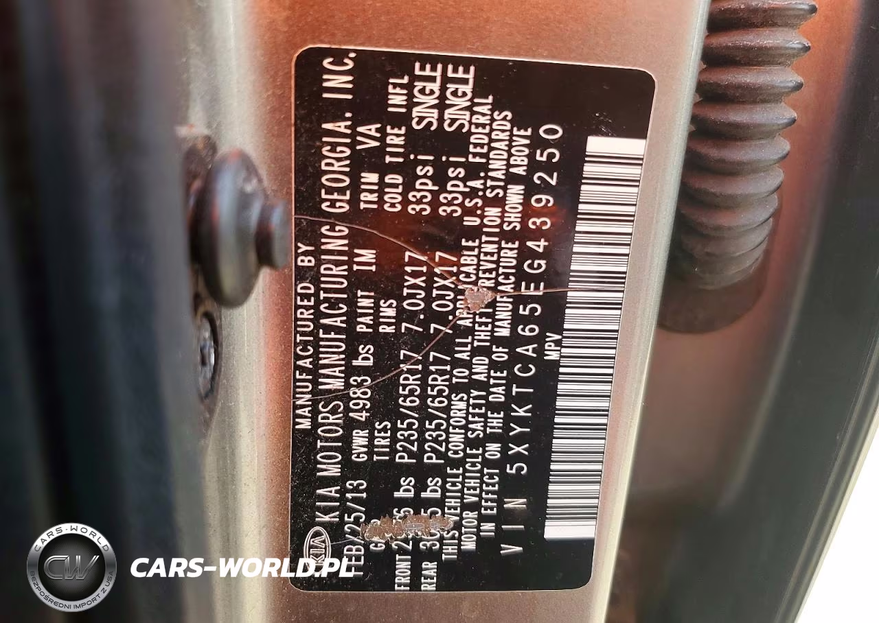 2014 Kia Sorento Lx VIN:5XYKTCA65EG439250 - 13