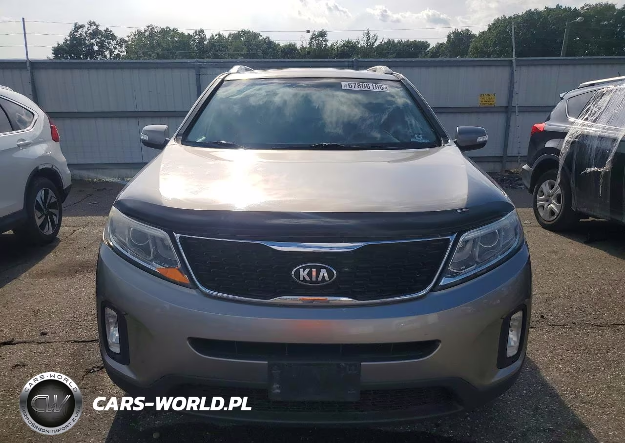 2014 Kia Sorento Lx VIN:5XYKTCA65EG439250 - 5