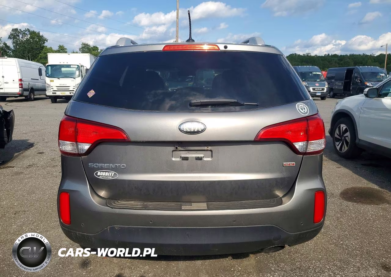 2014 Kia Sorento Lx VIN:5XYKTCA65EG439250 - 6