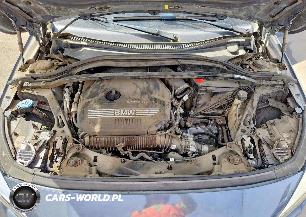 2021 BMW 228I VIN:WBA53AK01M7H57910 - 11