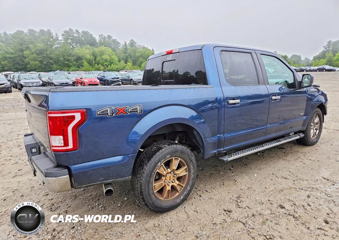 2017 Ford F150 Supercrew VIN:1FTEW1EP2HFA06343 - 3