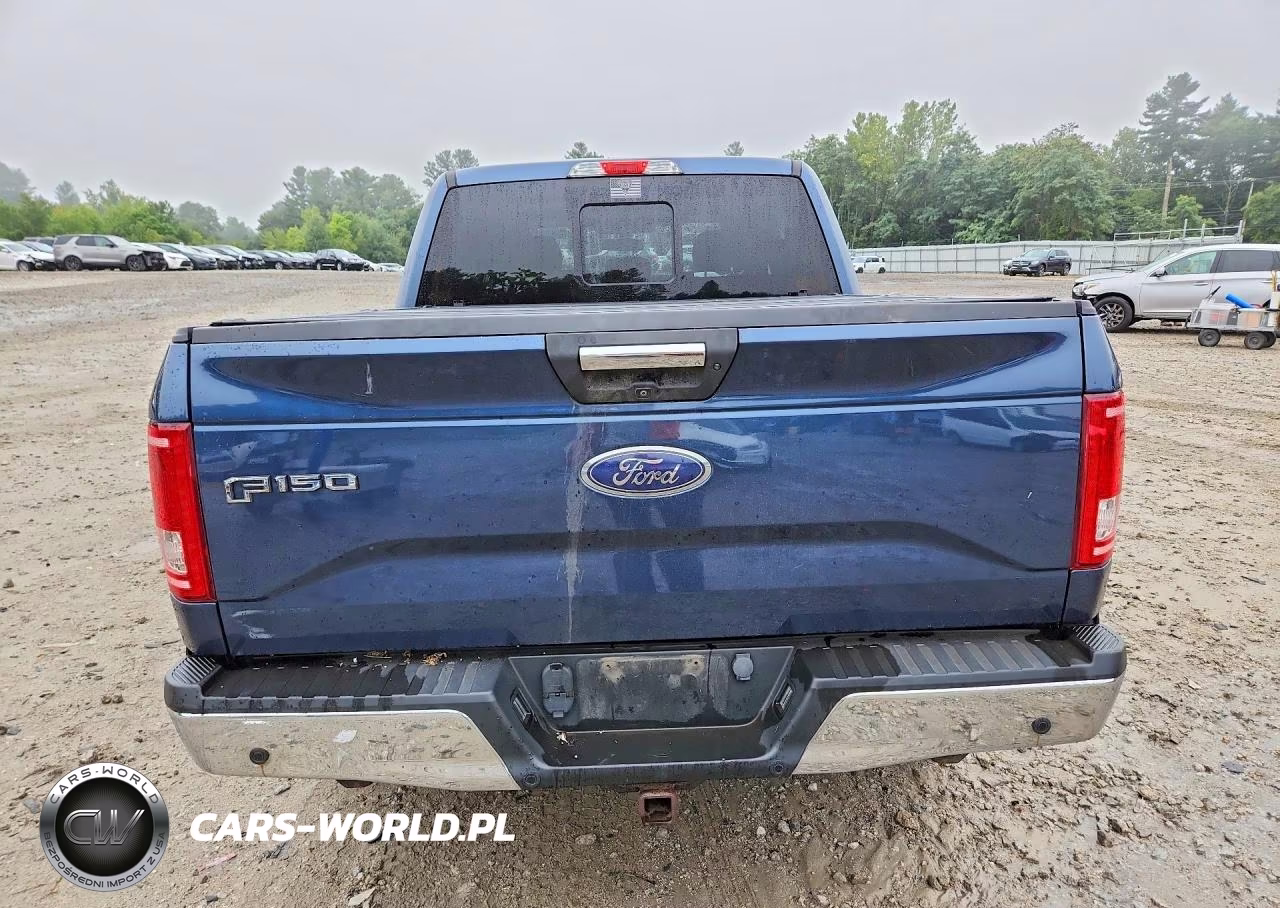2017 Ford F150 Supercrew VIN:1FTEW1EP2HFA06343 - 6