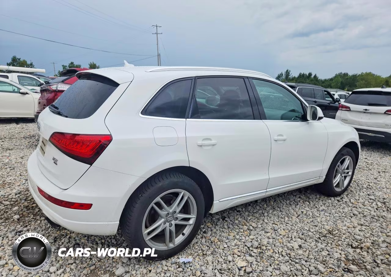 2013 Audi Q5 Premium VIN:WA1CFAFP4DA029498 - 3