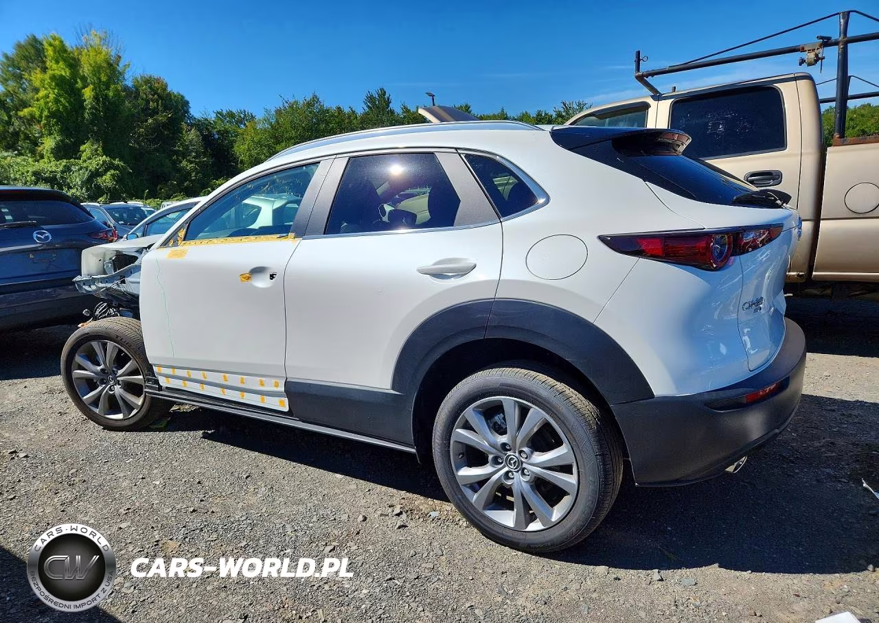 2025 Mazda Cx-30 Preferred VIN:3MVDMBCM0SM838222 - 2