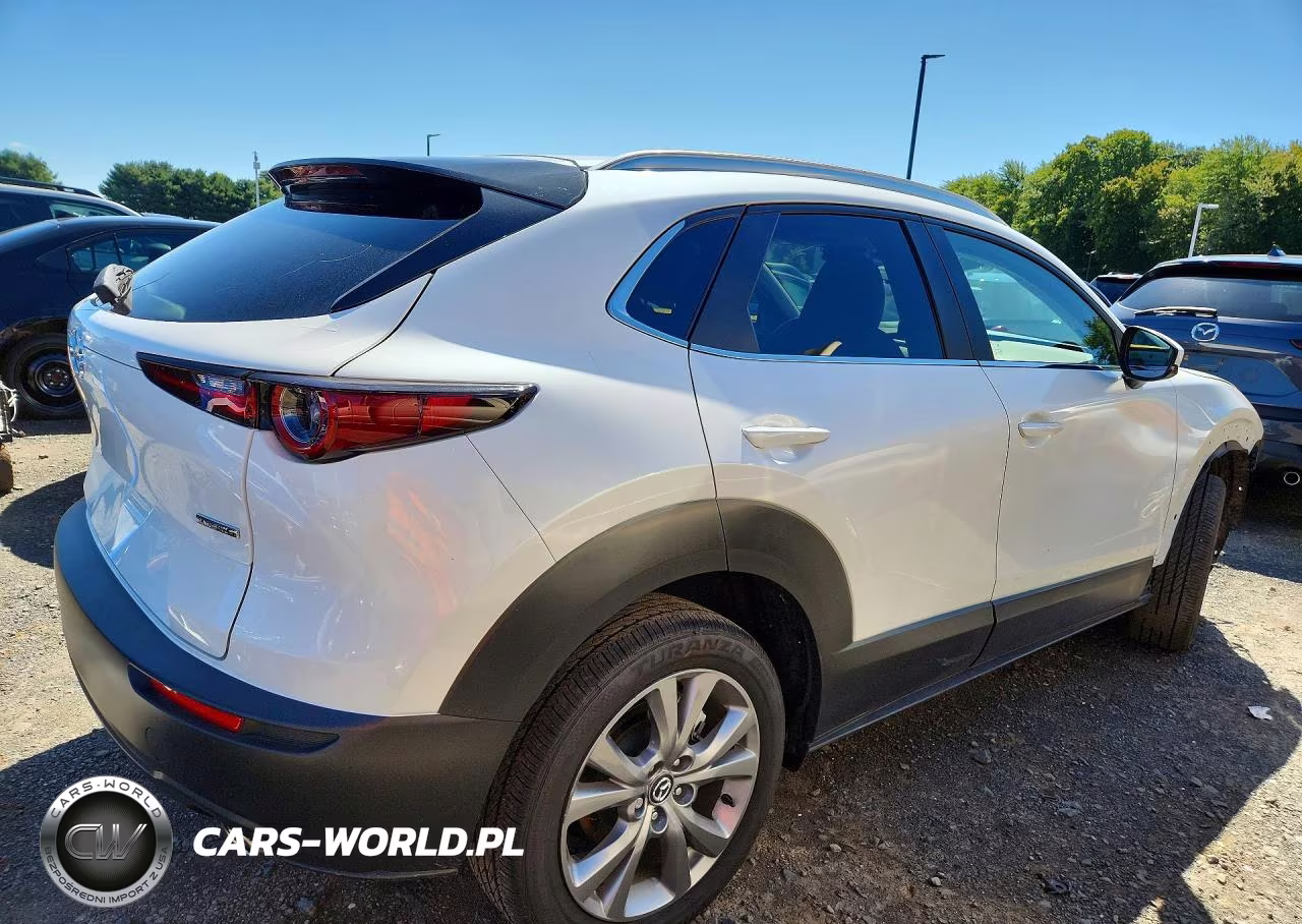 2025 Mazda Cx-30 Preferred VIN:3MVDMBCM0SM838222 - 3