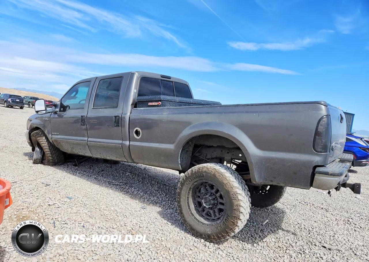 2003 Ford F350 Srw Super Duty VIN:1FTSW31F23EA46318 - 2