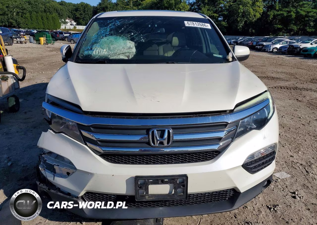 2016 Honda Pilot Exl VIN:5FNYF6H58GB038382 - 5