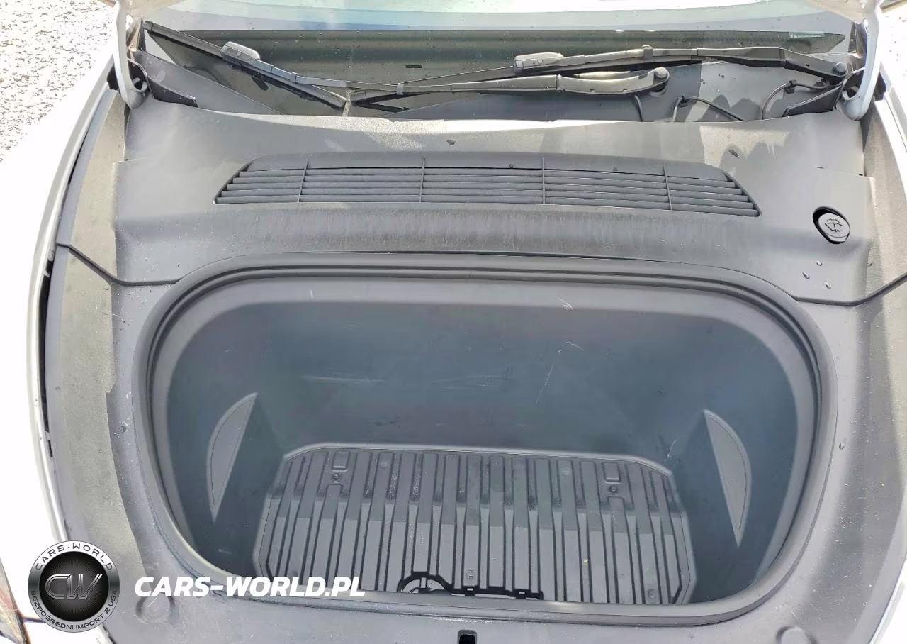 2024 Tesla Model Y VIN:7SAYGDEFXRF061084 - 11