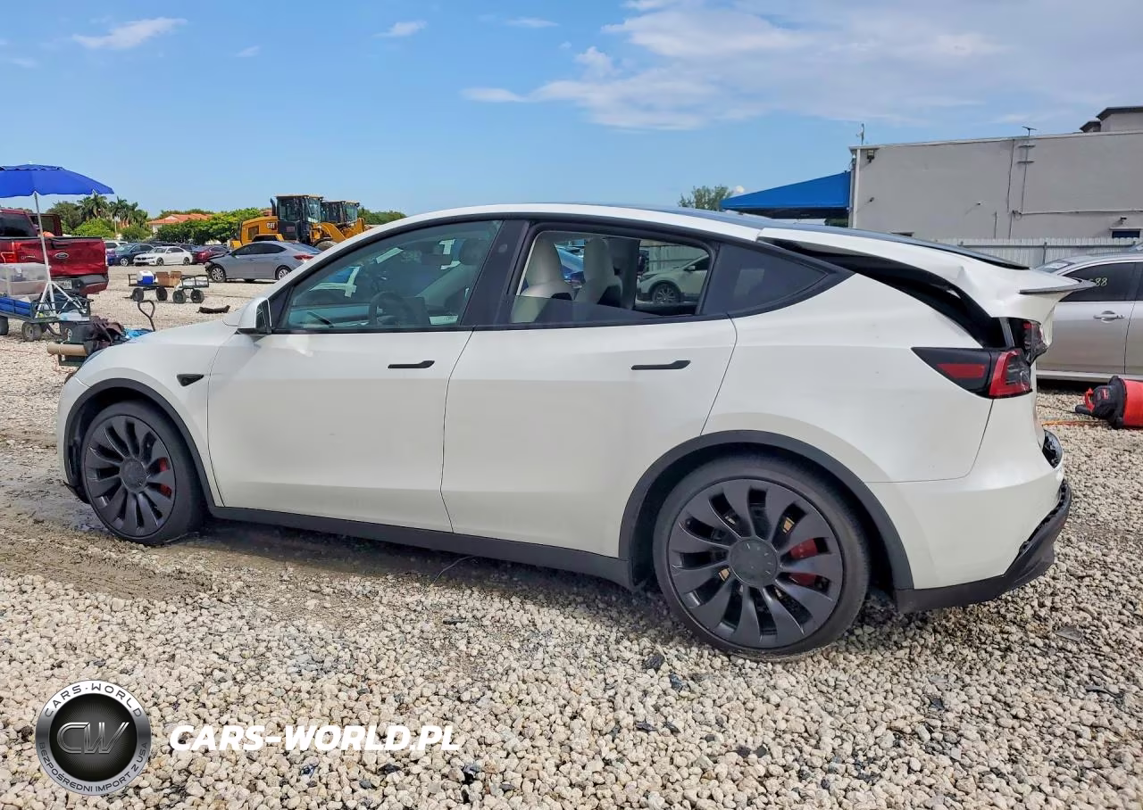2024 Tesla Model Y VIN:7SAYGDEFXRF061084 - 2
