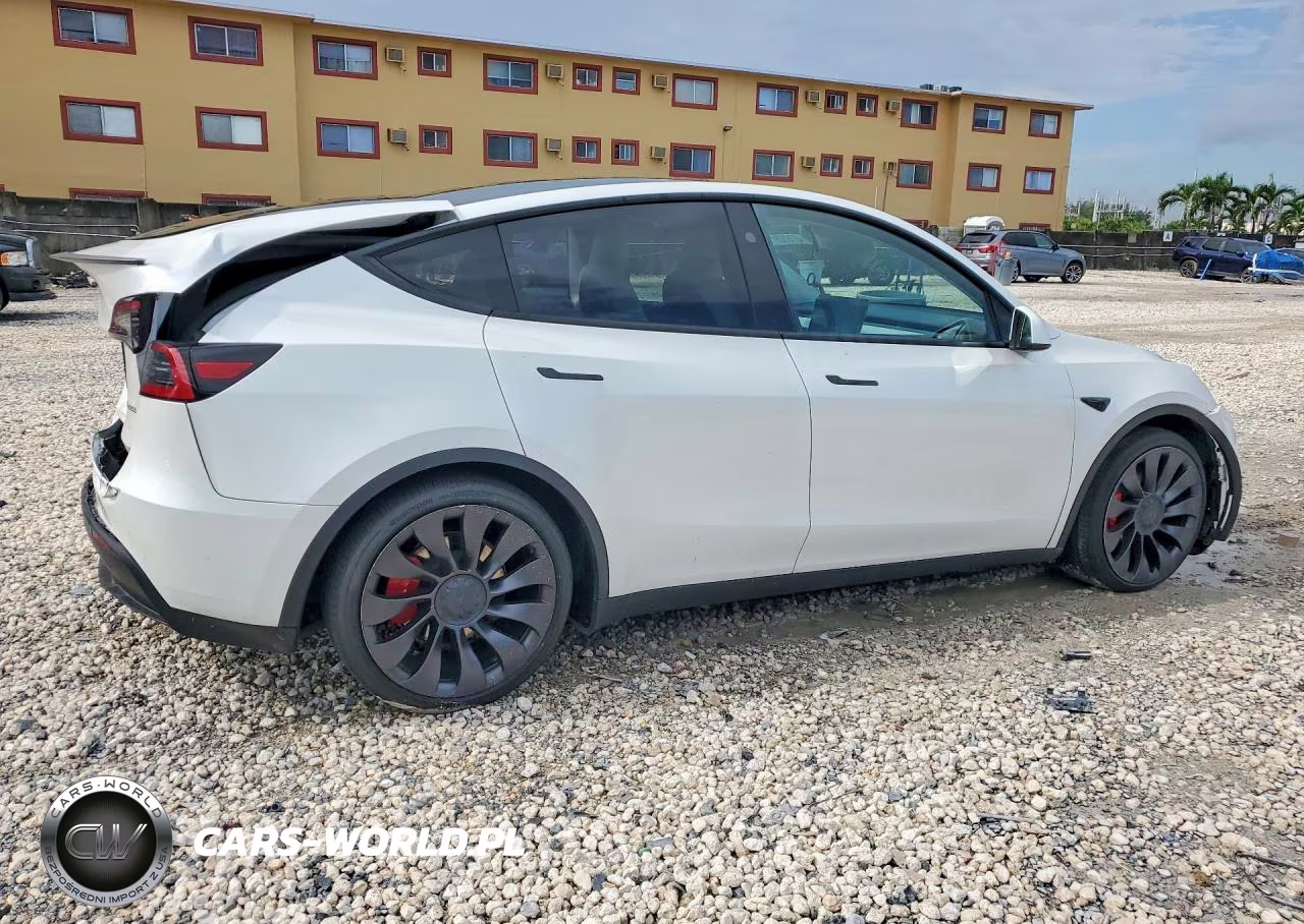 2024 Tesla Model Y VIN:7SAYGDEFXRF061084 - 3
