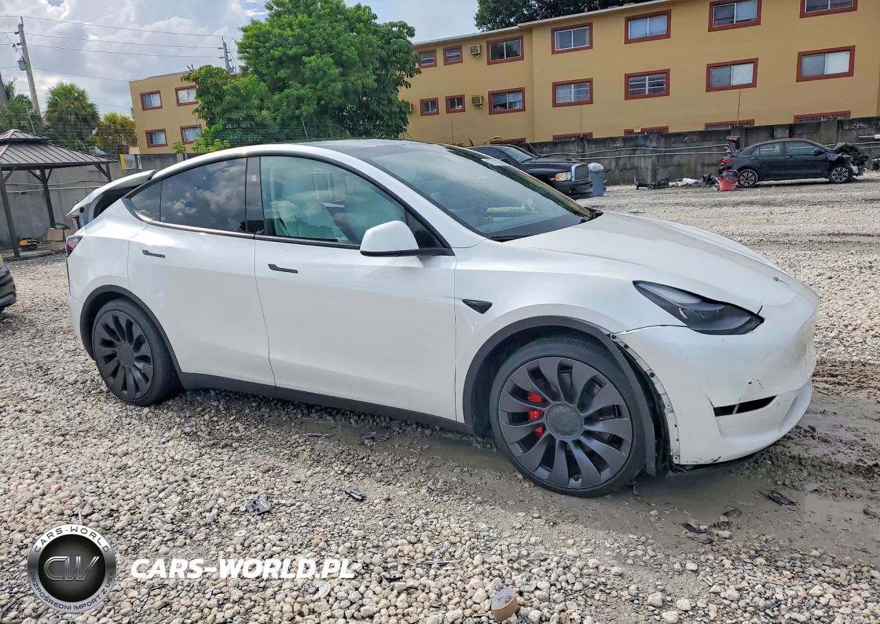 2024 Tesla Model Y VIN:7SAYGDEFXRF061084 - 4