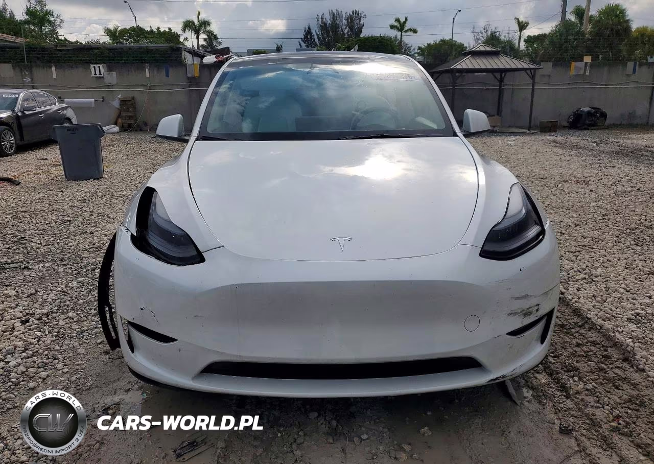 2024 Tesla Model Y VIN:7SAYGDEFXRF061084 - 5