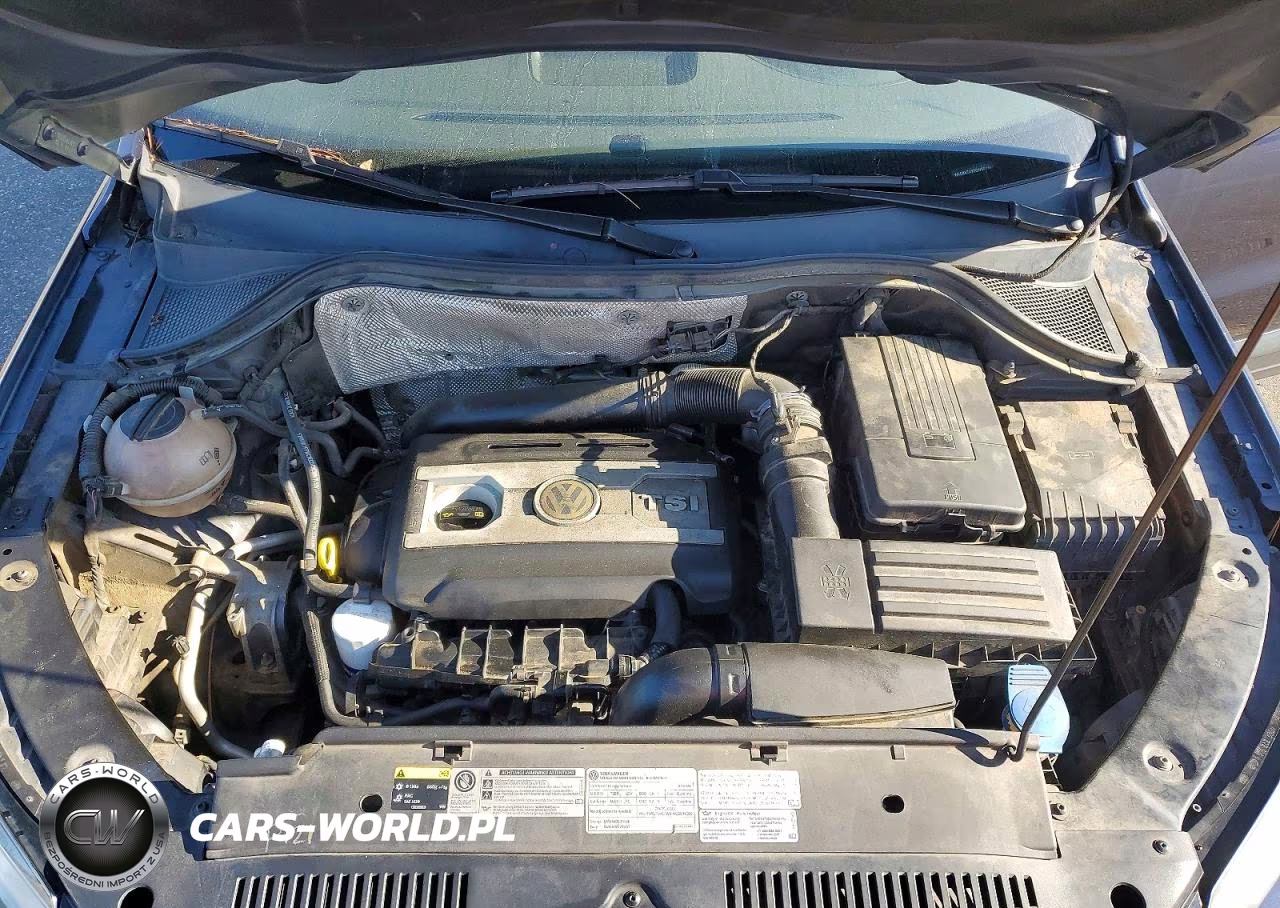 2016 Volkswagen Tiguan S VIN:WVGBV7AX0GW601152 - 12