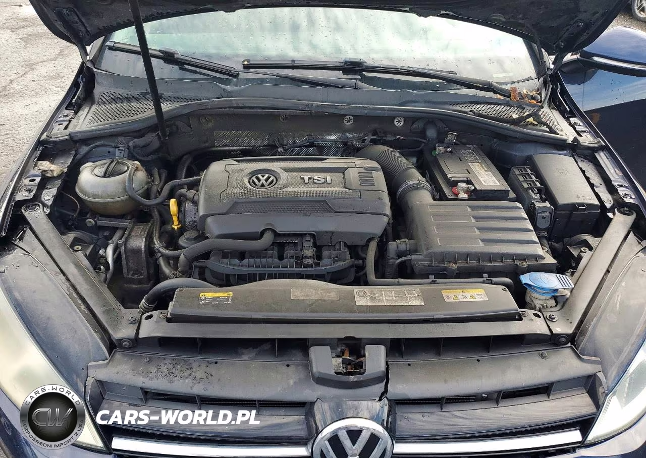 2016 Volkswagen Golf Sportwagen S VIN:3VWC17AU1GM501004 - 12