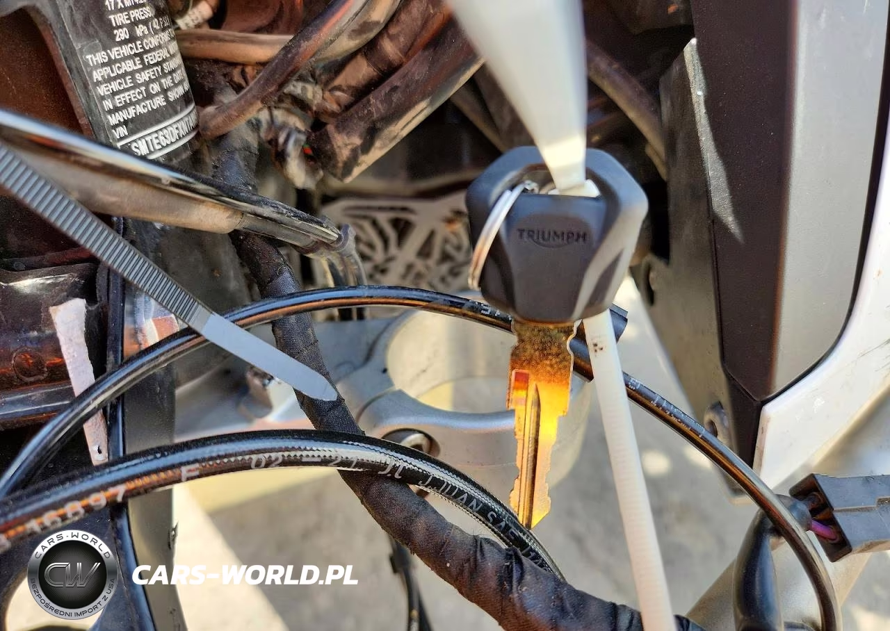 2022 Triumph Motorcycle Tiger 900 Rally VIN:SMTE63DFXNTAW9762 - 8