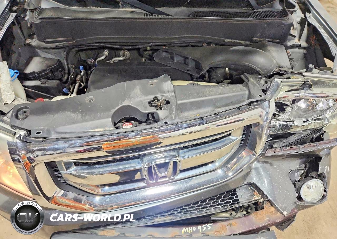 2011 Honda Pilot Ex VIN:5FNYF4H42BB044165 - 12