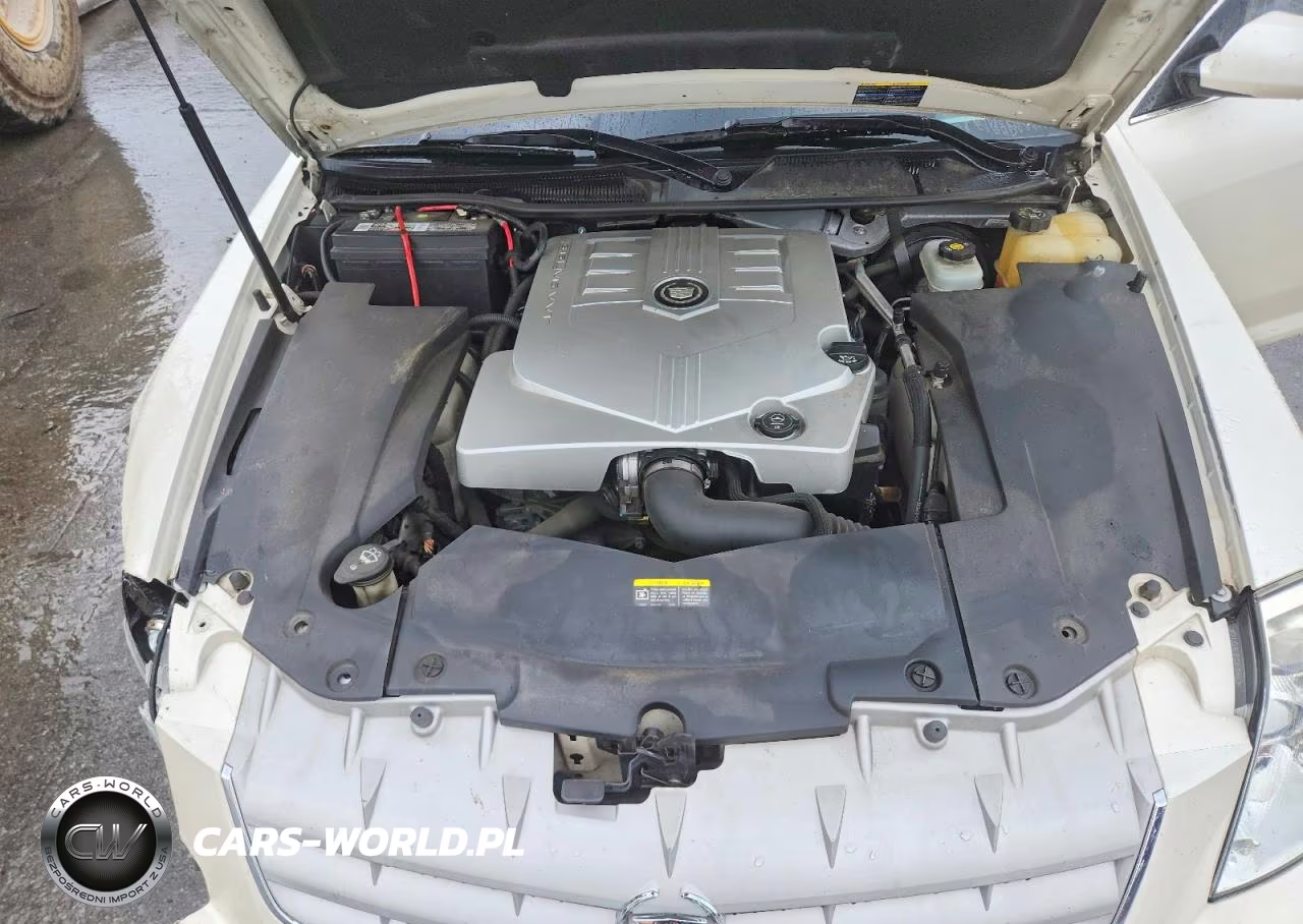 2007 Cadillac Sts VIN:1G6DW677X70113294 - 11