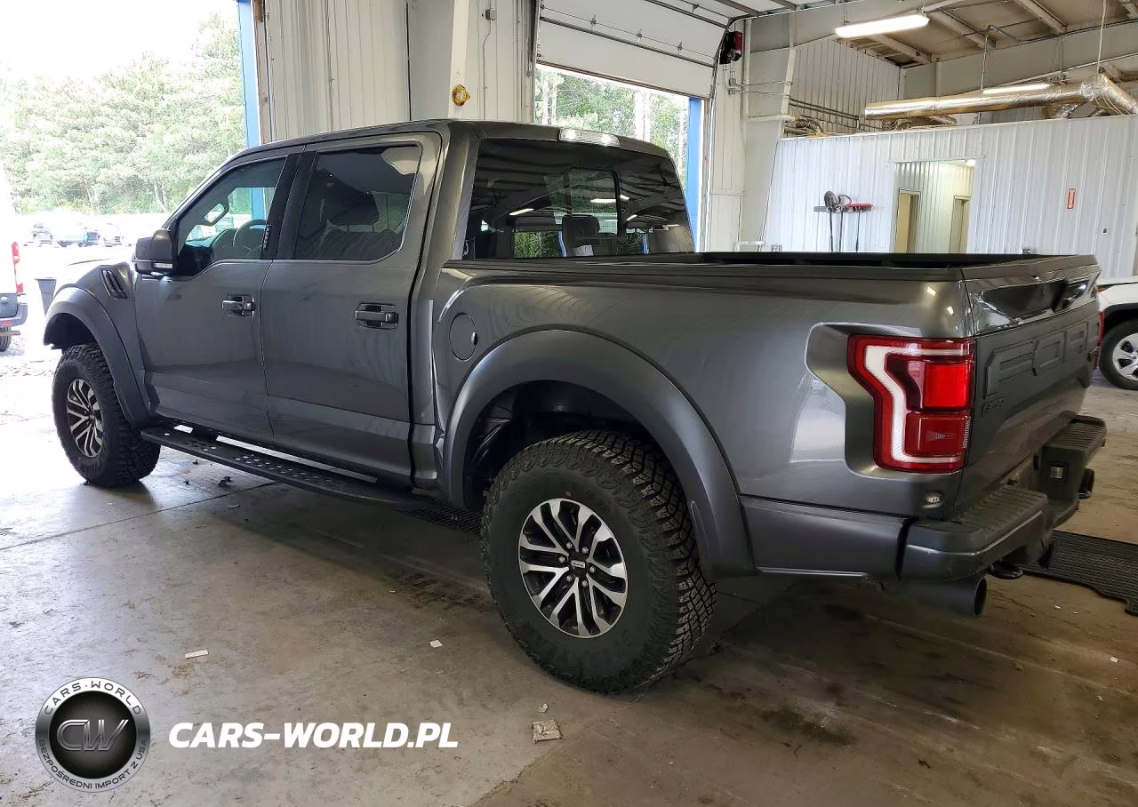2019 Ford F150 Raptor VIN:1FTFW1RG0KFC46240 - 2
