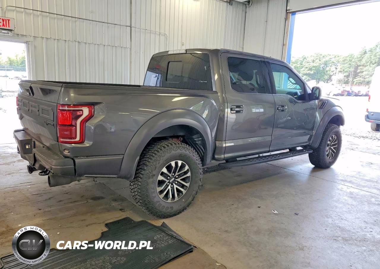 2019 Ford F150 Raptor VIN:1FTFW1RG0KFC46240 - 3