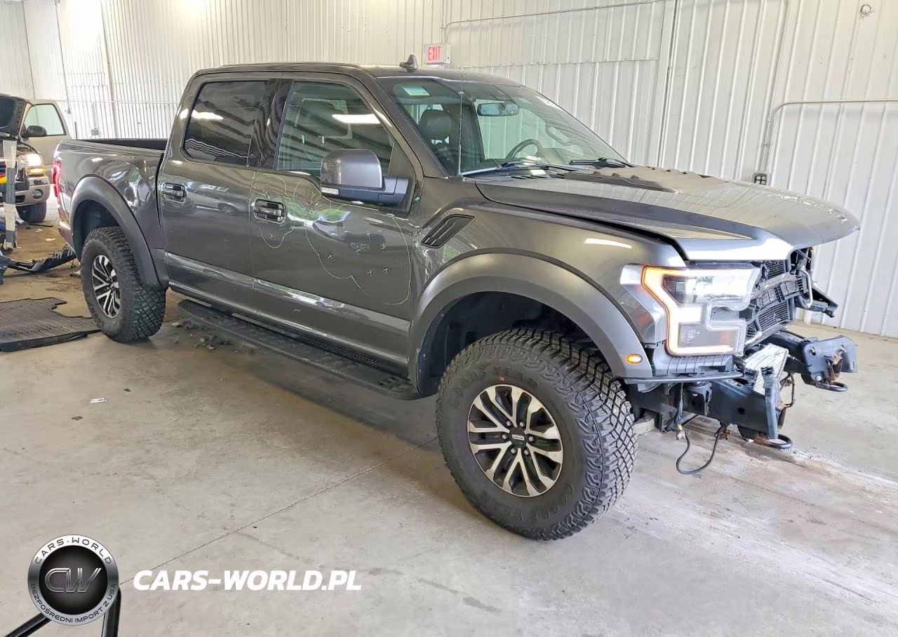 2019 Ford F150 Raptor VIN:1FTFW1RG0KFC46240 - 4