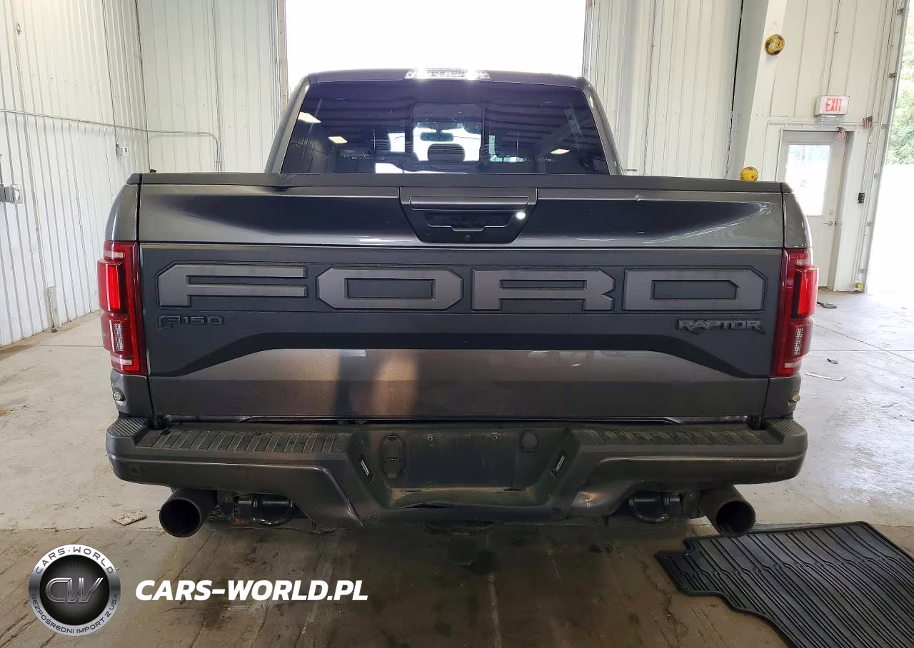 2019 Ford F150 Raptor VIN:1FTFW1RG0KFC46240 - 6