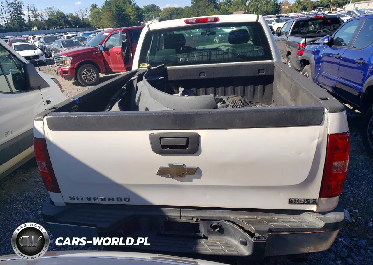 2011 Chevrolet Silverado C2500 Heavy Duty VIN:1GC2CVCG0BZ465978 - 6