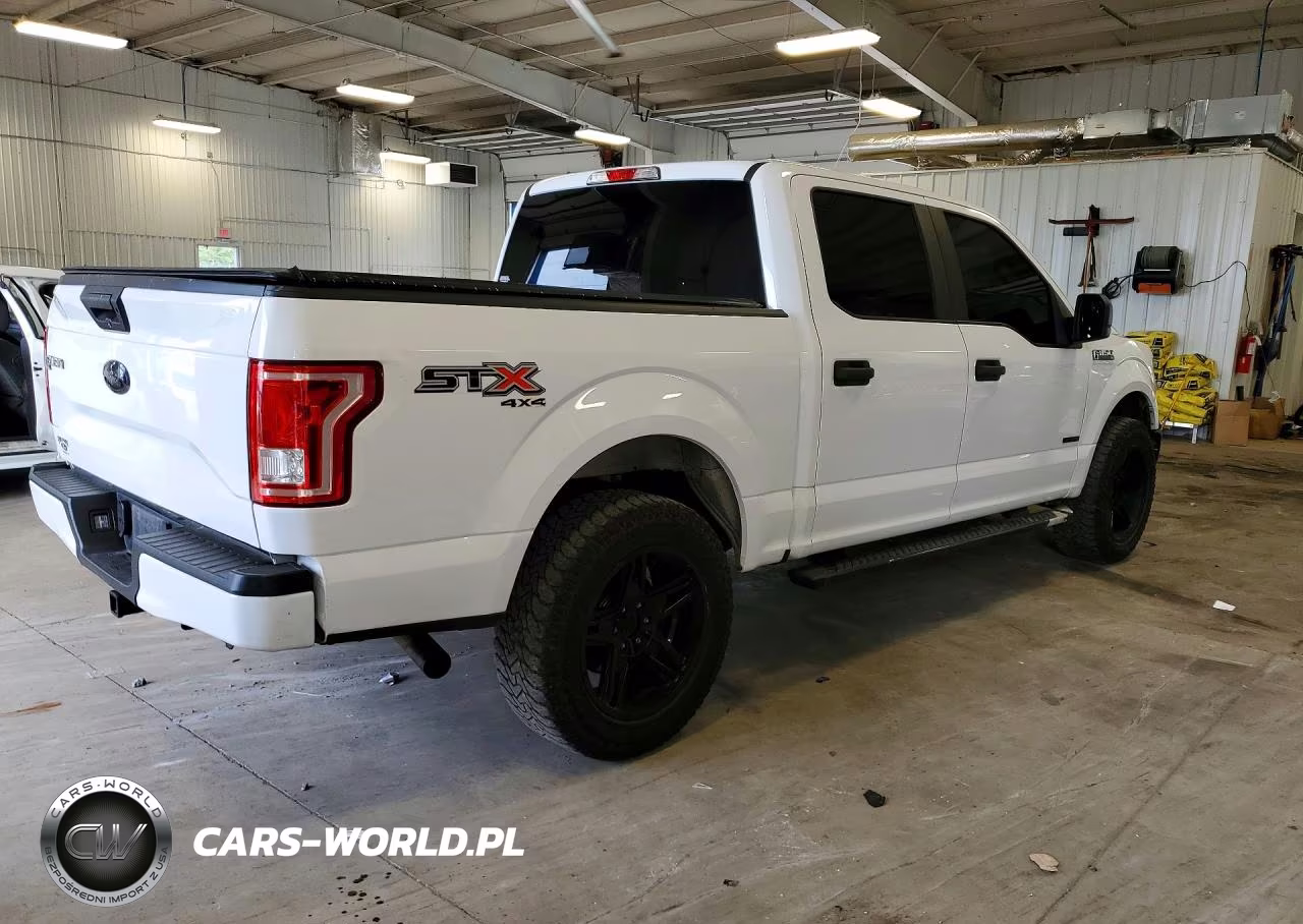 2017 Ford F150 Supercrew VIN:1FTEW1EP6HKD54279 - 3