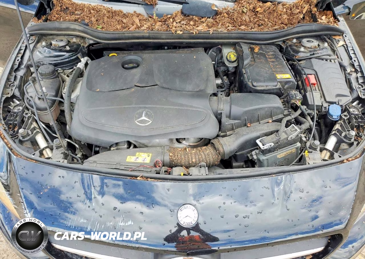 2016 Mercedes-Benz Cla 250 VIN:WDDSJ4EB7GN330504 - 11