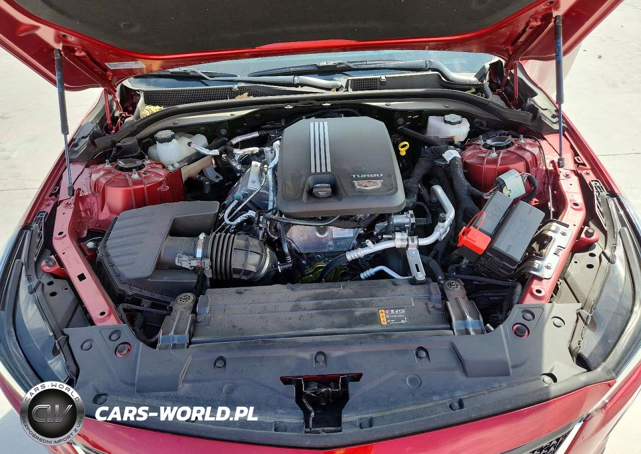 2024 Cadillac Ct5 Sport VIN:1G6DP5RK4R0116526 - 11