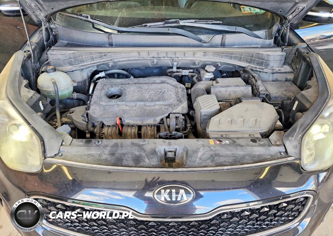 2017 Kia Sportage Ex VIN:KNDPNCAC6H7105445 - 12