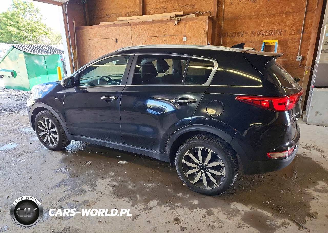 2017 Kia Sportage Ex VIN:KNDPNCAC6H7105445 - 2