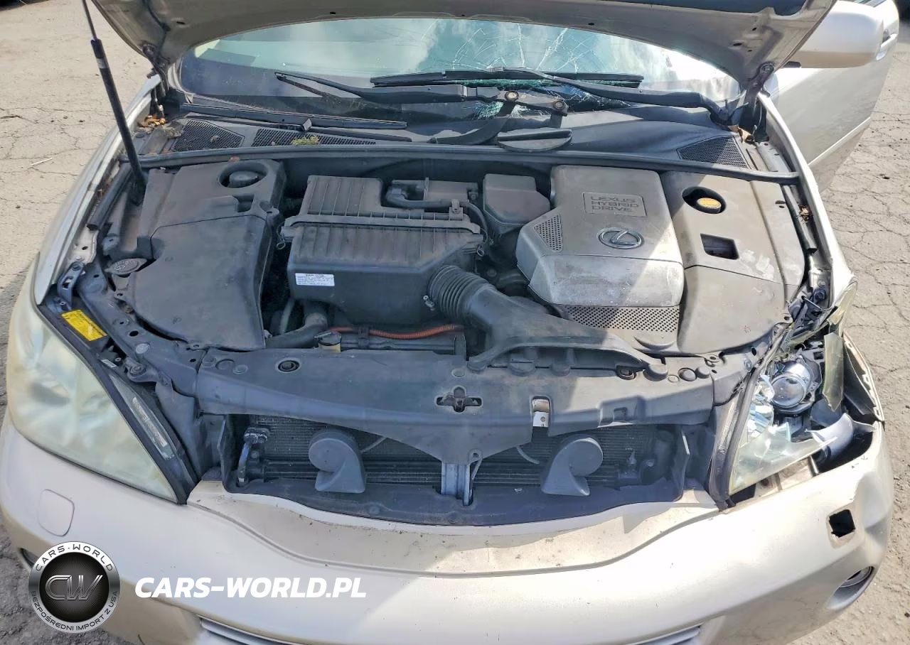 2007 Lexus Rx 400H VIN:JTJHW31U772013618 - 11