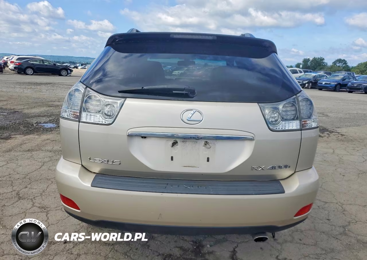 2007 Lexus Rx 400H VIN:JTJHW31U772013618 - 6