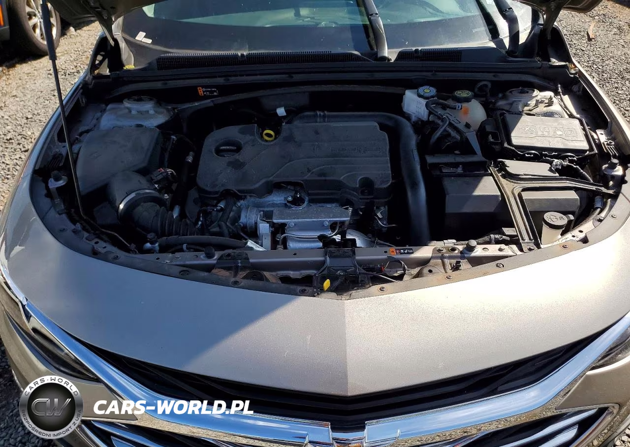 2024 Chevrolet Malibu Lt VIN:1G1ZD5ST2RF172288 - 11