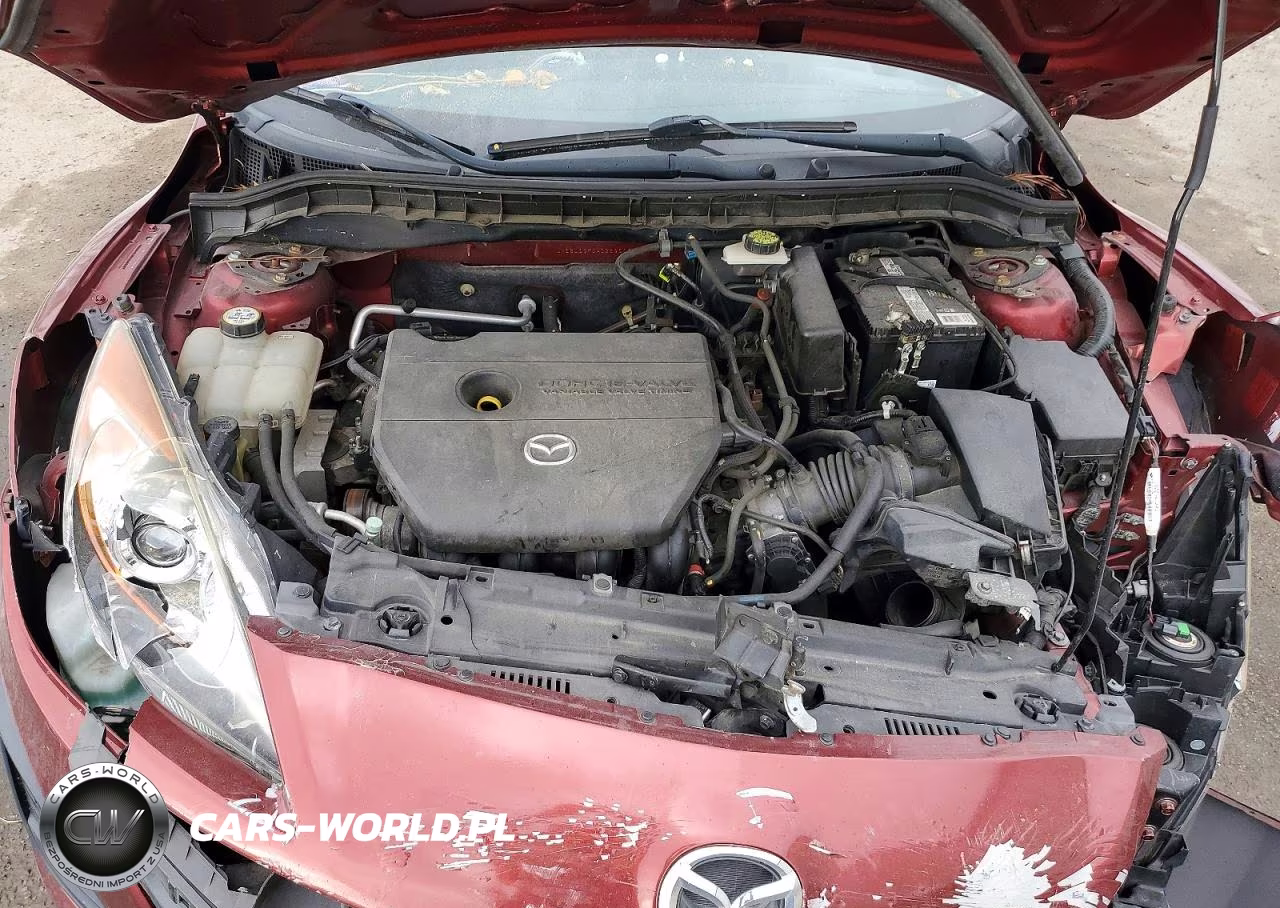 2010 Mazda 3 I VIN:JM1BL1SF0A1269103 - 11