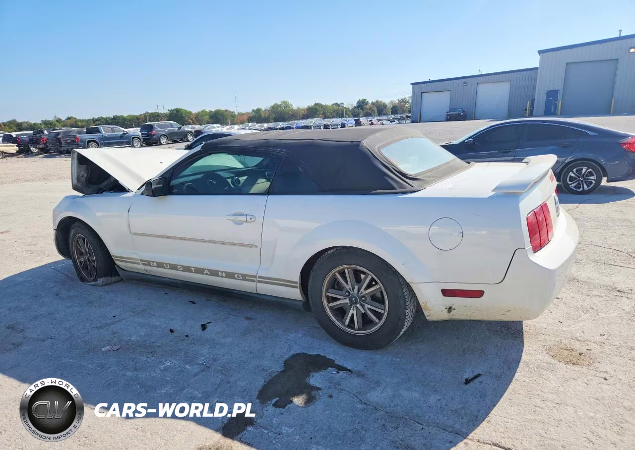 2005 Ford Mustang VIN:1ZVFT84N855186898 - 2