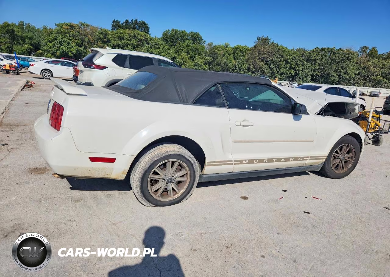 2005 Ford Mustang VIN:1ZVFT84N855186898 - 3