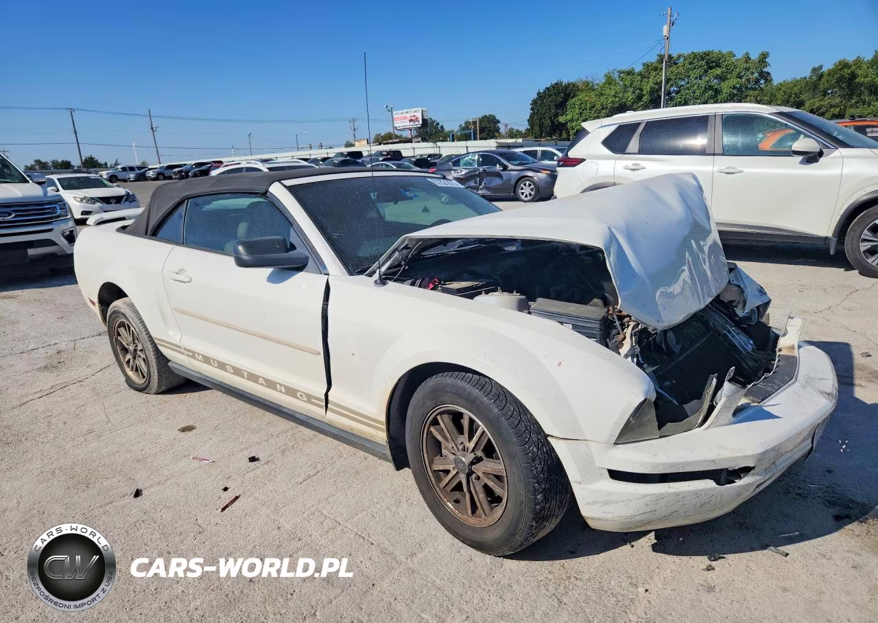 2005 Ford Mustang VIN:1ZVFT84N855186898 - 4