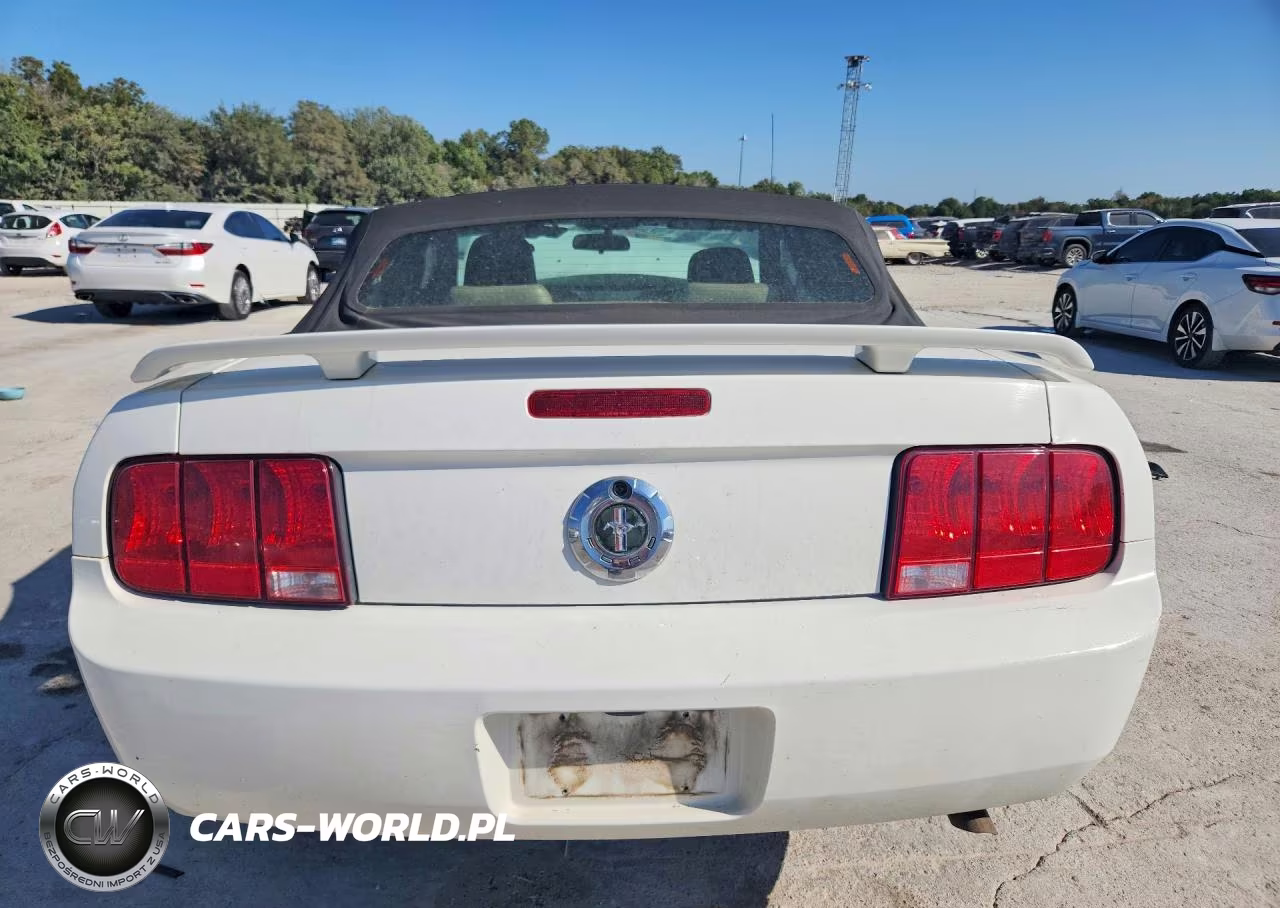 2005 Ford Mustang VIN:1ZVFT84N855186898 - 6