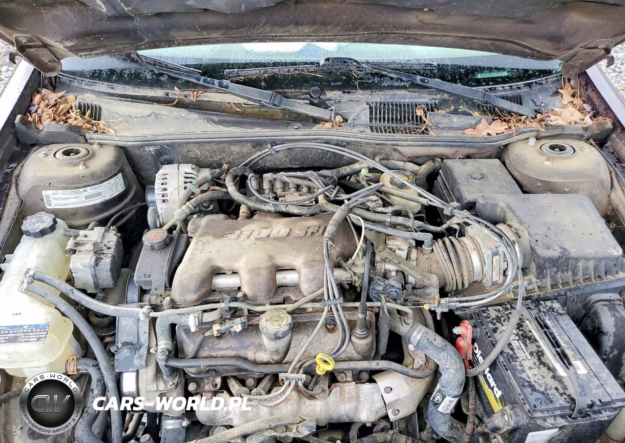 2000 Chevrolet Malibu VIN:1G1ND52J0Y6133937 - 11
